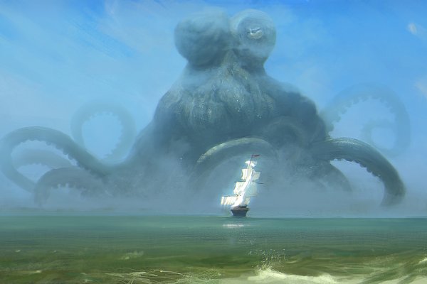 Kraken official